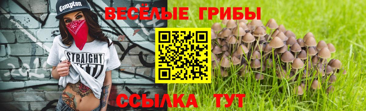 Галлюциногенные грибы ЛСД Отрадный